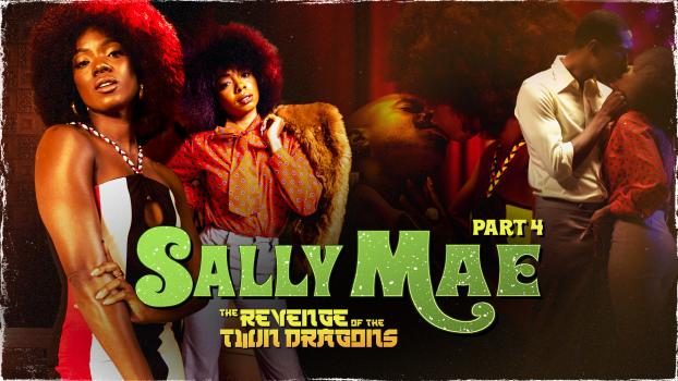 SweetSweetSallyMae: Sally Mae: The Revenge of the Twin Dragons: Part 4